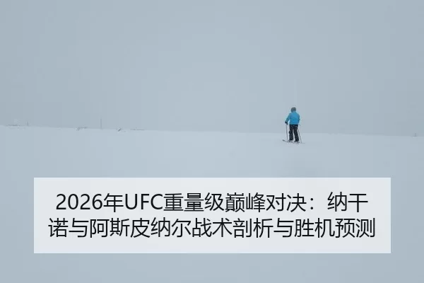 2026年UFC重量级巅峰对决：纳干诺与阿斯皮纳尔战术剖析与胜机预测